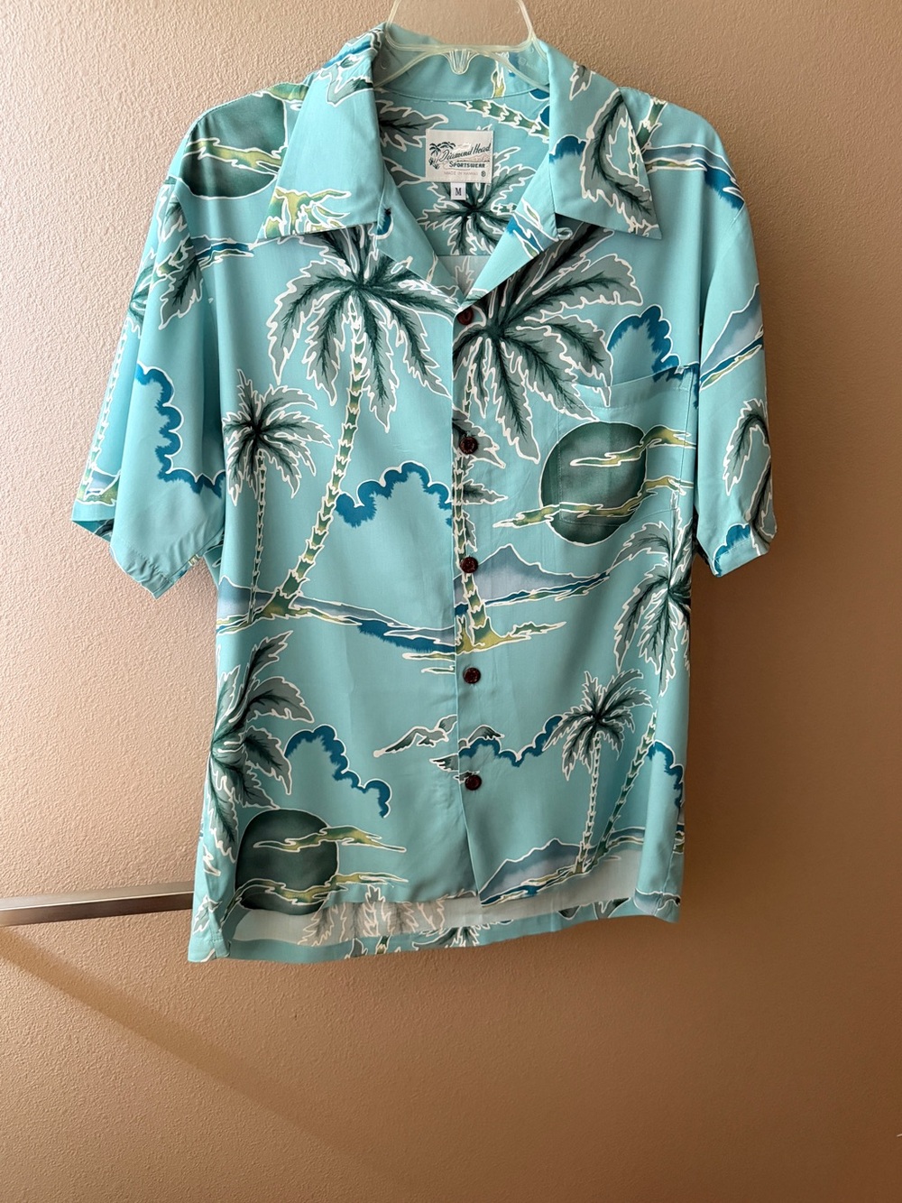 EUC Aqua Retro Scenic Palm Aloha Shirt